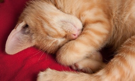 10 Ways to Get Better Sleep (And Be More Successful)