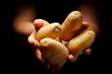 2014 Dirty Dozen List: The Most Pesticide-Laden Produce You're Eating 