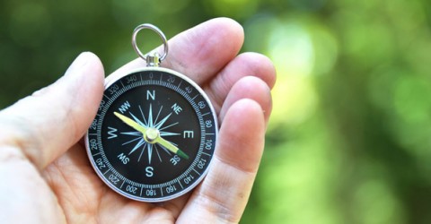 Vincenzo Scocuzza NicolettiCalia