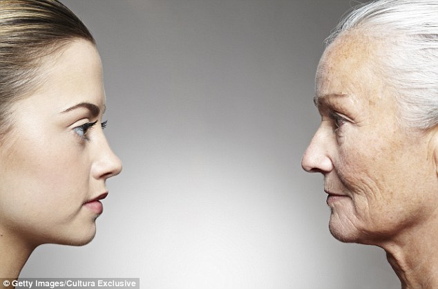 vincenzo-scocuzza-nicoletticalia-north-carolina